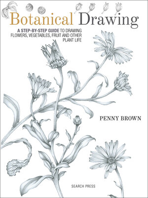 cover image of Botanical Drawing